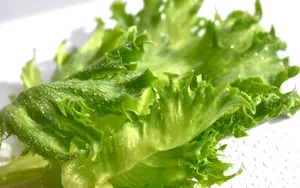 绿色新鲜蔬菜图片_6