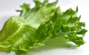绿色新鲜蔬菜图片_12
