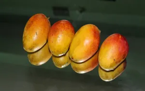美味芒果图片_5
