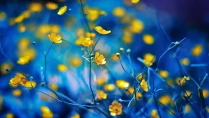 清闲淡雅的花朵图片_3