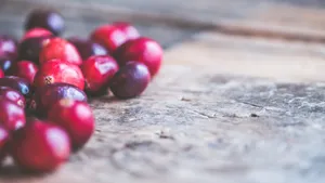 蔓越莓图片_10