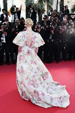 艾丽·范宁印花礼服甜美仙气红毯图片_4