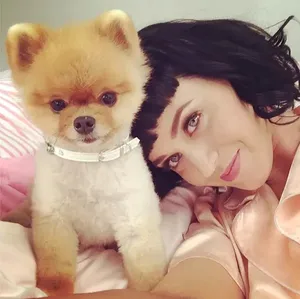 katy perry凯蒂·佩里杂志写真图片_10