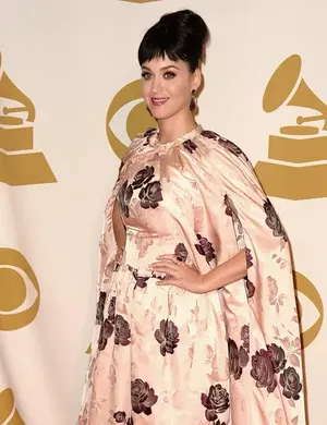 Katy Perry凯蒂·佩里时尚礼服活动图片_4