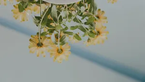 清新淡雅的花儿_8