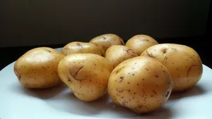 粮食土豆图片_2