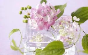 小清新野花图片_10