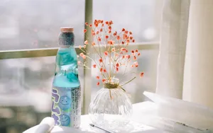 室内小清闲花卉图片_3
