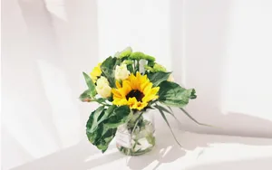 室内小清闲花卉图片_7