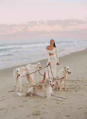 盖尔·加朵《名利场》性感海边大片写真图片_2