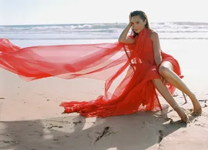 盖尔·加朵《名利场》性感海边大片写真图片_8
