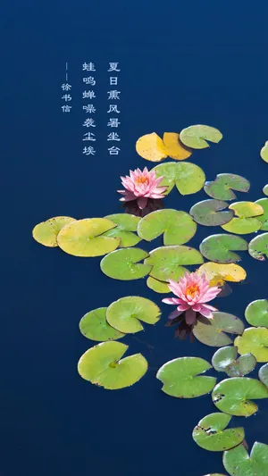 荷塘文艺节气夏至_1
