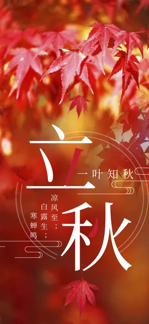 今日立秋