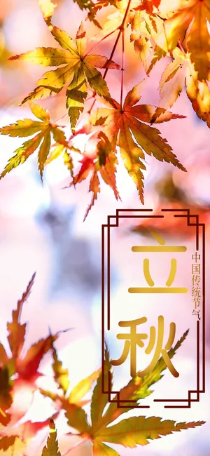 立秋时节_1