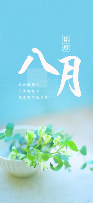 清新简约你好八月