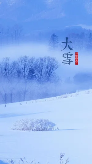 二十四节气大雪