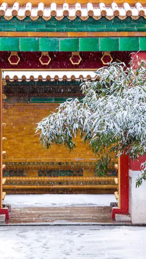 故宫雪景_1