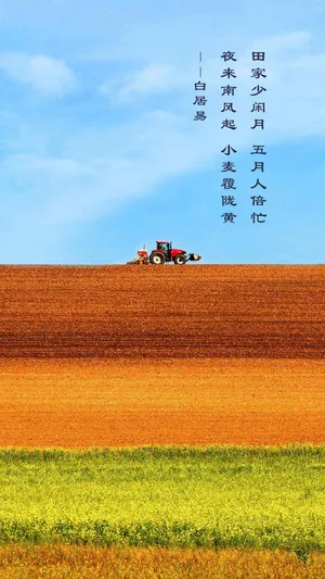芒种节气