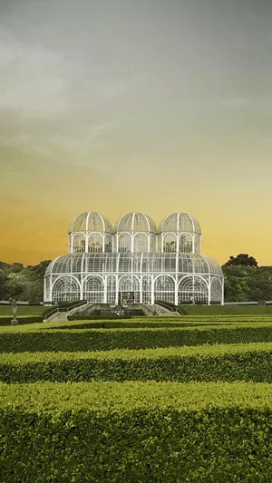 巴西库里蒂巴植物园_1