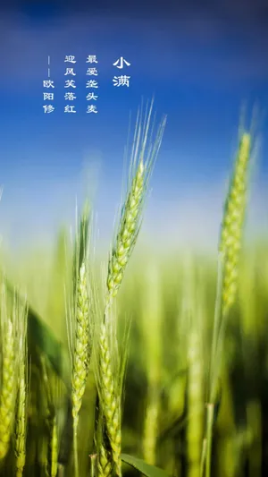 只是小满