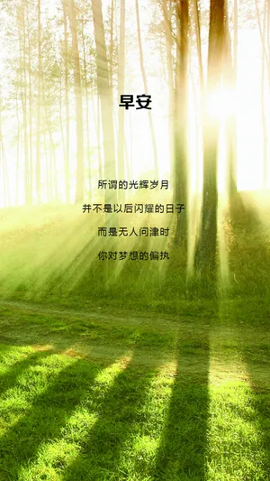 阳光穿过树林励志心语_1