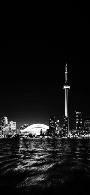 多伦多迷人夜景