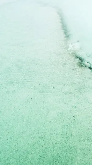 绿色海洋
