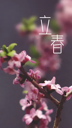 立春,最美桃花送给你