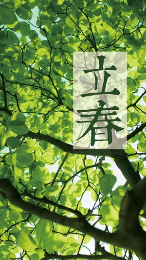 叶子的春天