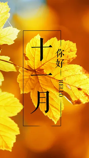 秋季的十一月你好