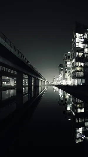夜间黑白城市