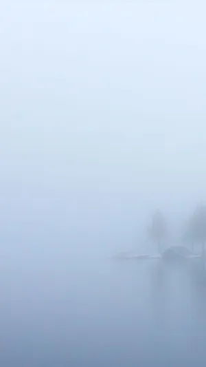 雾湖小屋