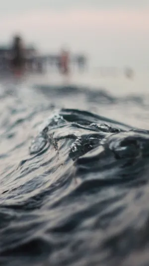 水面涟猗