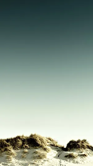 白色沙丘