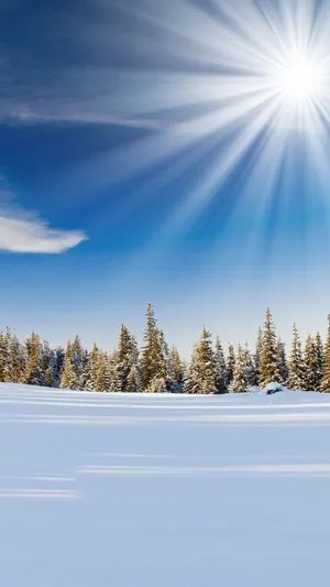 森林雪域阳光