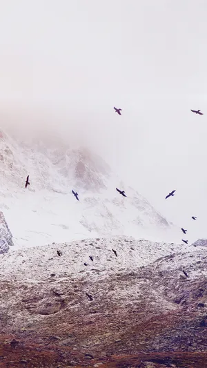 复古雪山飞鸟_1