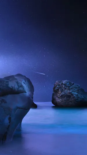 梦幻海洋