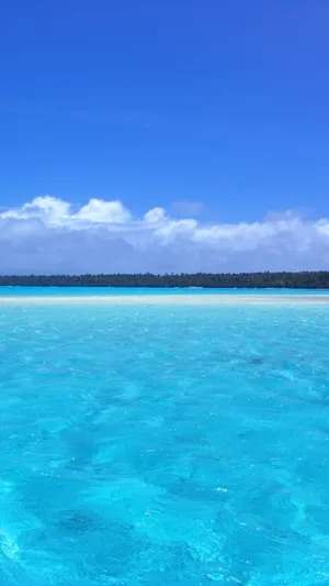 唯美清晰蓝海
