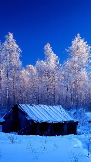 唯美雪景帐篷风光_1
