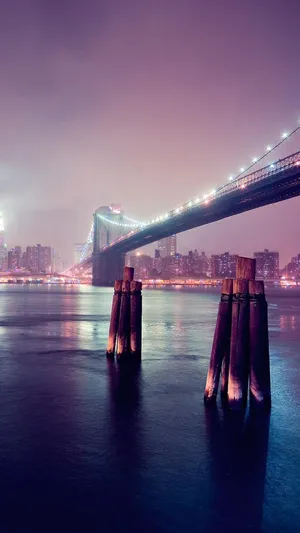 夜灯海桥_1