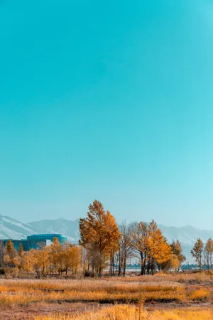 青海初秋风光