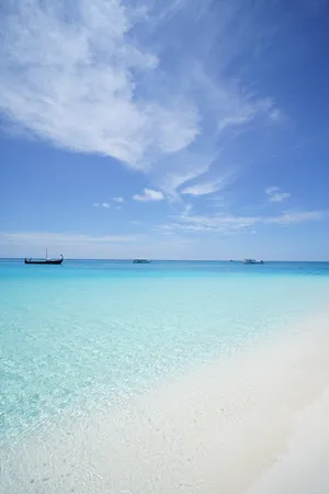 金色沙滩 船