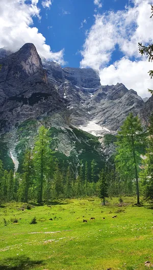 高山 景观 自然 全景图 白云岩