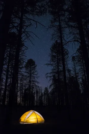 露营 帐篷 娱乐 生活方式 乐趣 森林 星星 银河_1