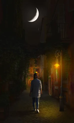 女孩 夜空 街道 月亮 巫婆 幻想