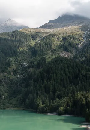 高山流水
