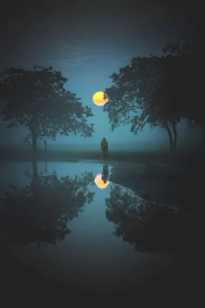 雾 骑行 傍晚