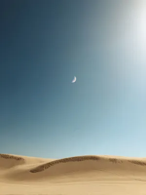 沙漠落日