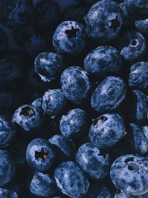 蓝莓 特写_1
