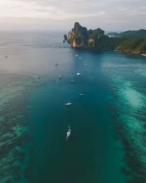大海 清澈海洋